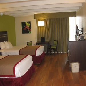 Double Room Two Double Beds Balcony Non-Smoking